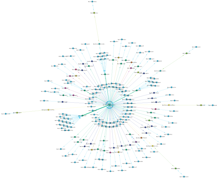 The Social Life of a t.co URL visualized – Anne Helmond